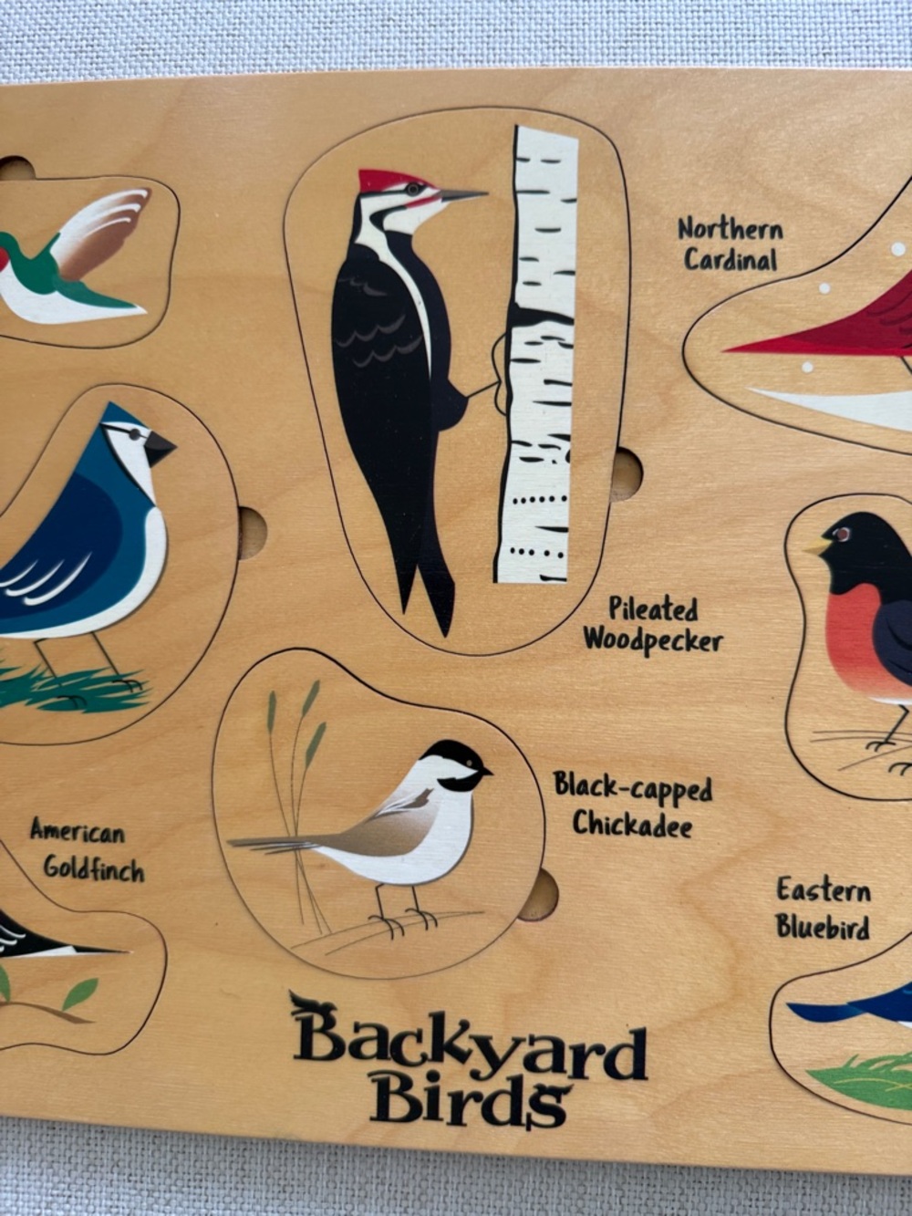 Maple Landmark Lift & Learn Backyard Birds Wooden Puzzle - Picture 3 of 11